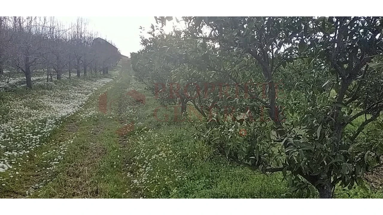 Quinta para Venda em Santa Comba de Vilariça Foto 25