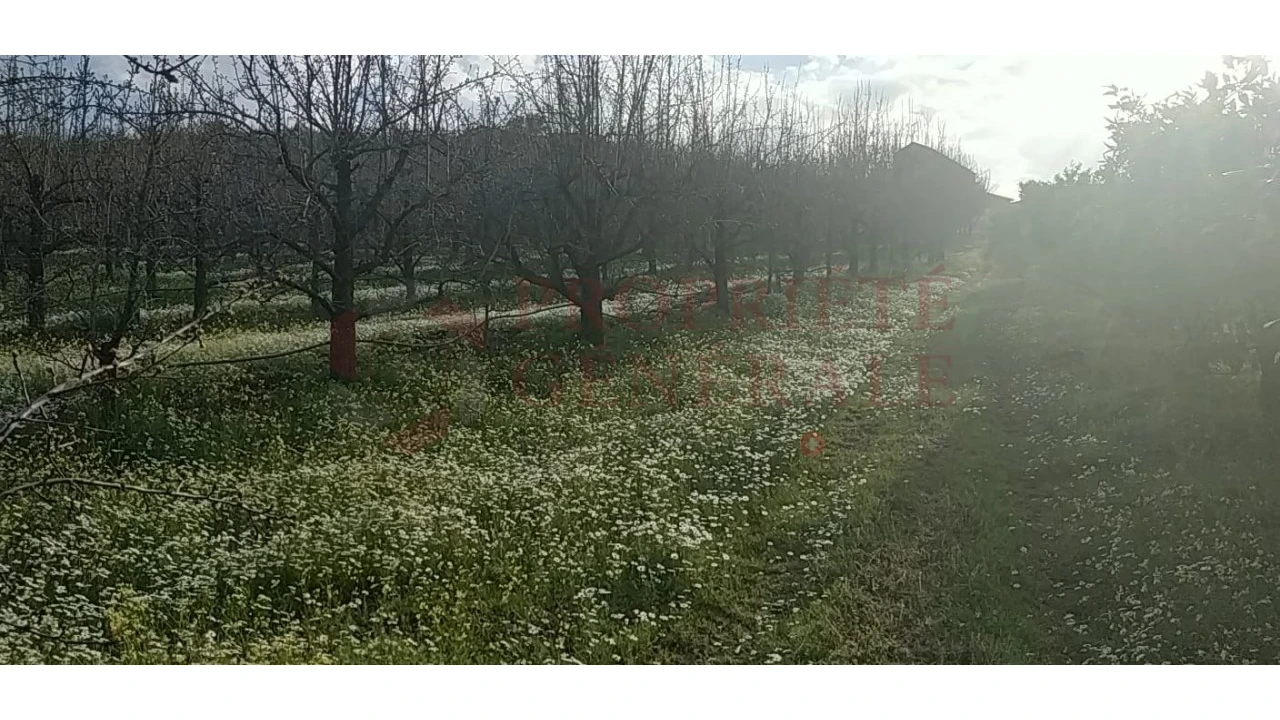 Quinta para Venda em Santa Comba de Vilariça Foto 26