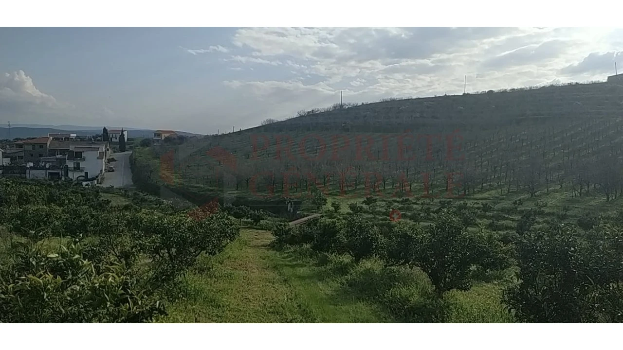 Quinta para Venda em Santa Comba de Vilariça Foto 1