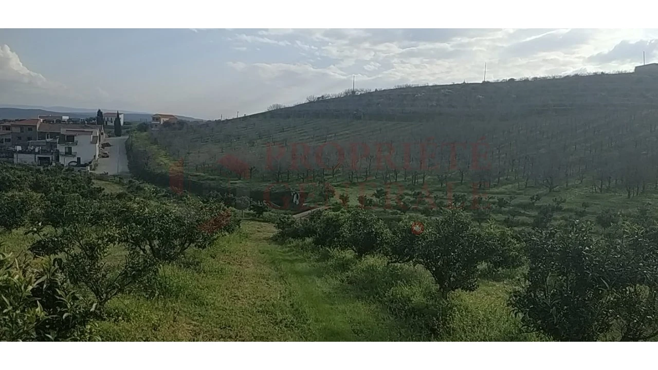 Quinta para Venda em Santa Comba de Vilariça Foto 28