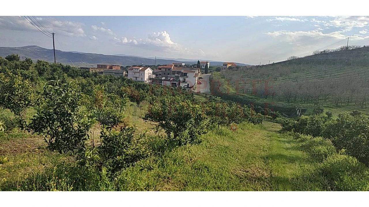 Quinta para Venda em Santa Comba de Vilariça Foto 30