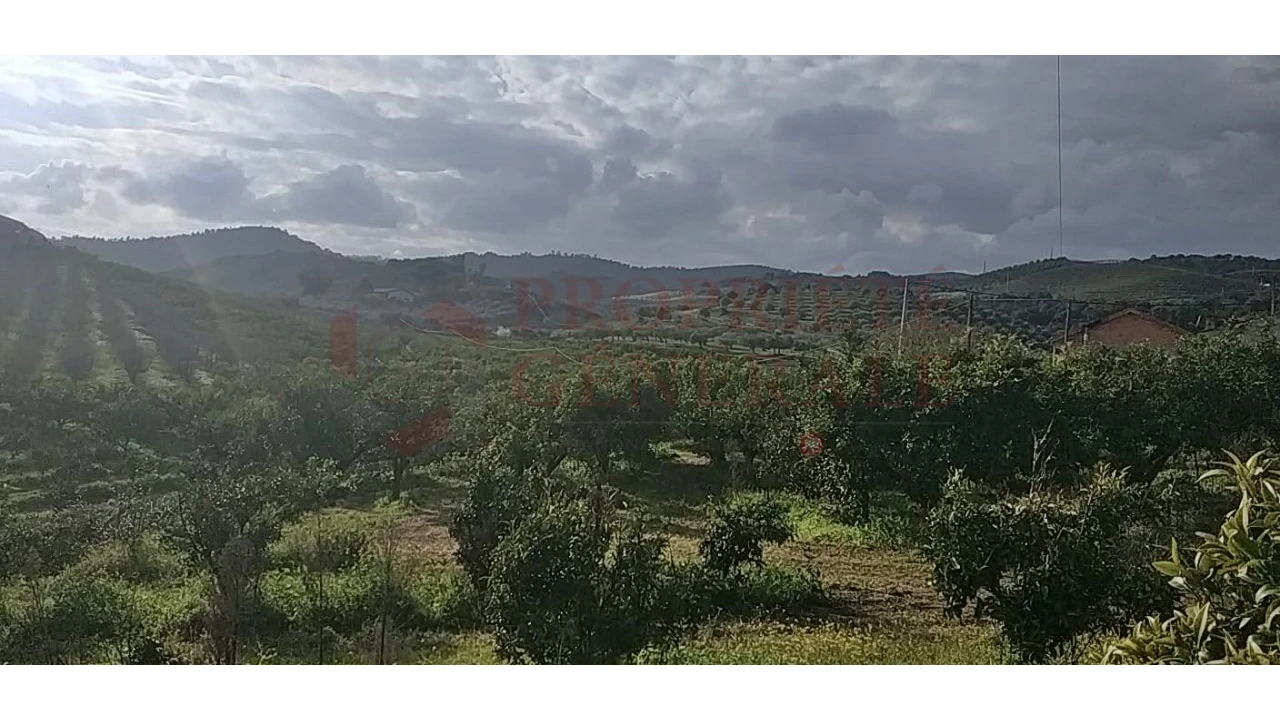 Quinta para Venda em Santa Comba de Vilariça Foto 32