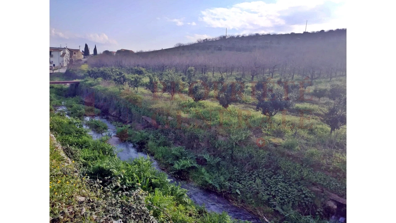 Quinta para Venda em Santa Comba de Vilariça Foto 33