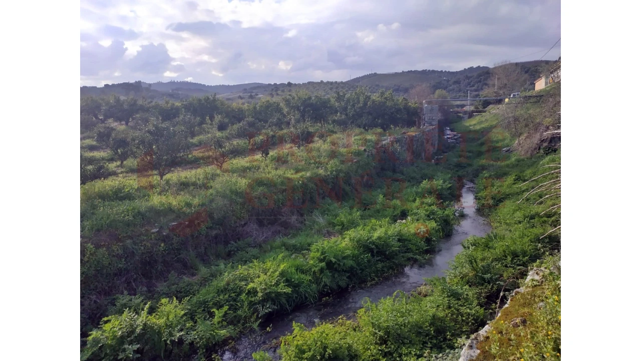 Quinta para Venda em Santa Comba de Vilariça Foto 34