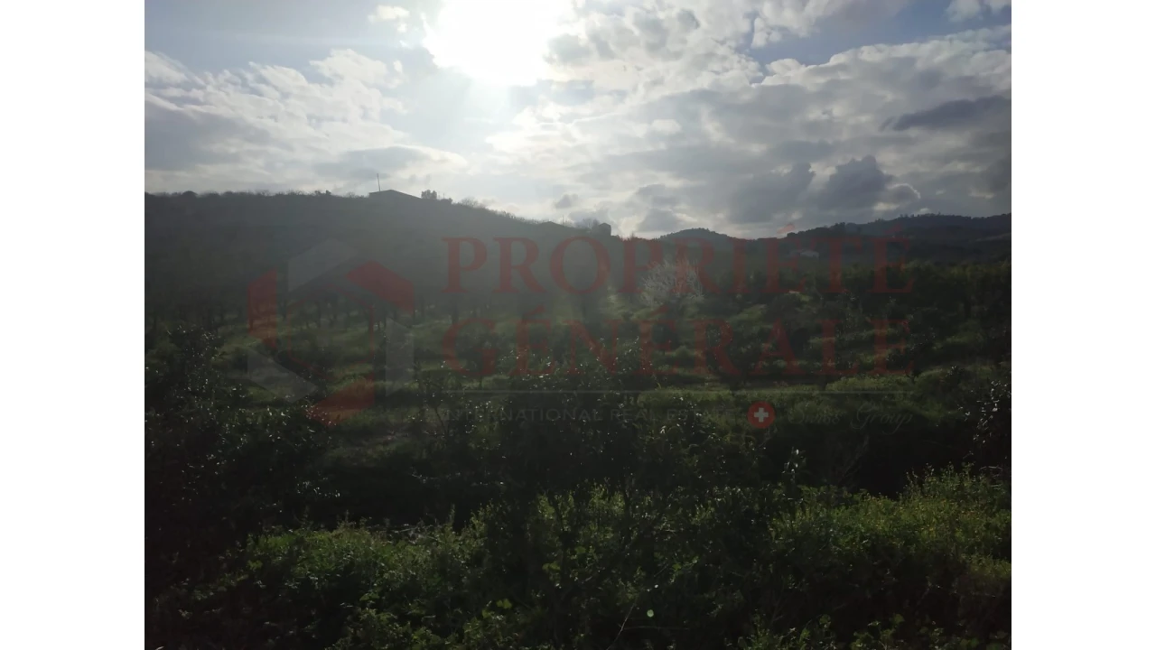 Quinta para Venda em Santa Comba de Vilariça Foto 35