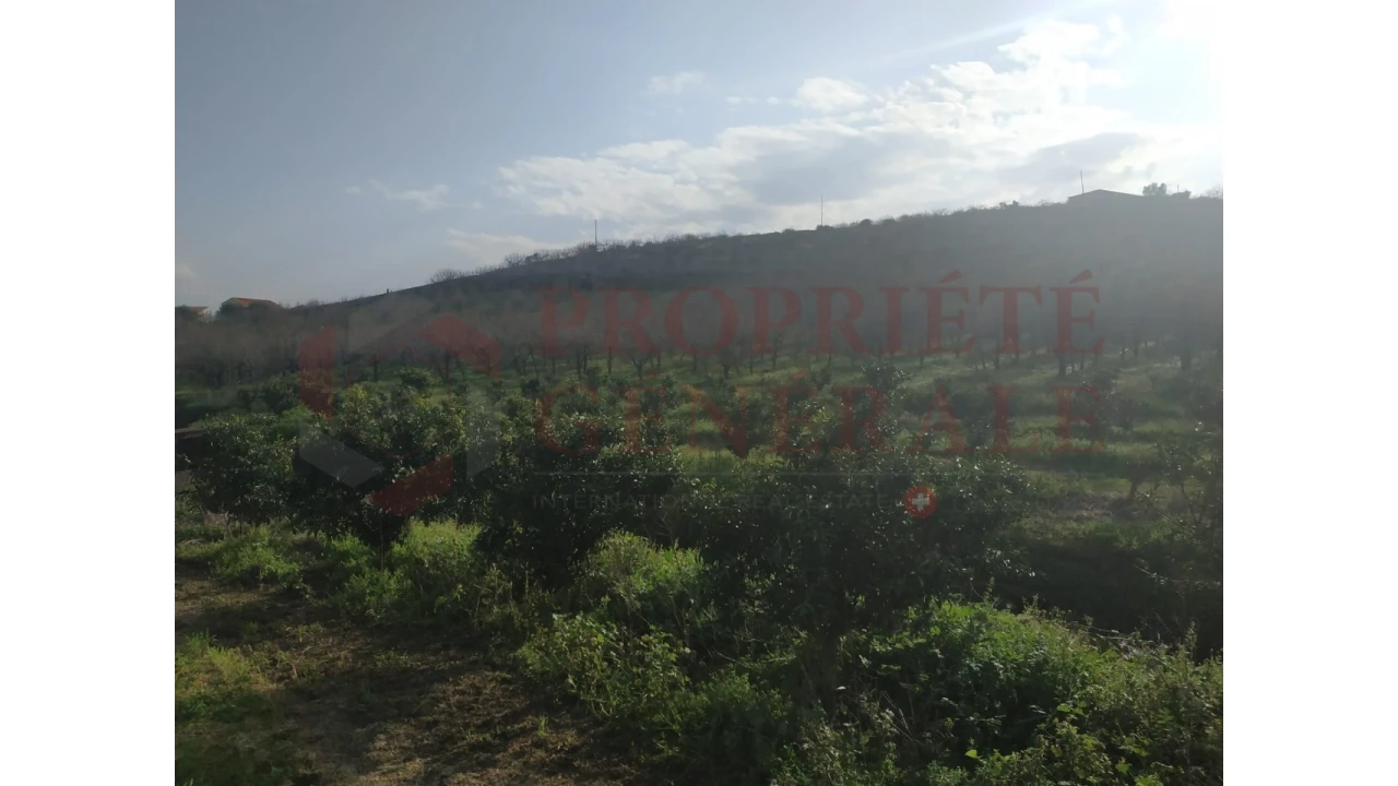 Quinta para Venda em Santa Comba de Vilariça Foto 36