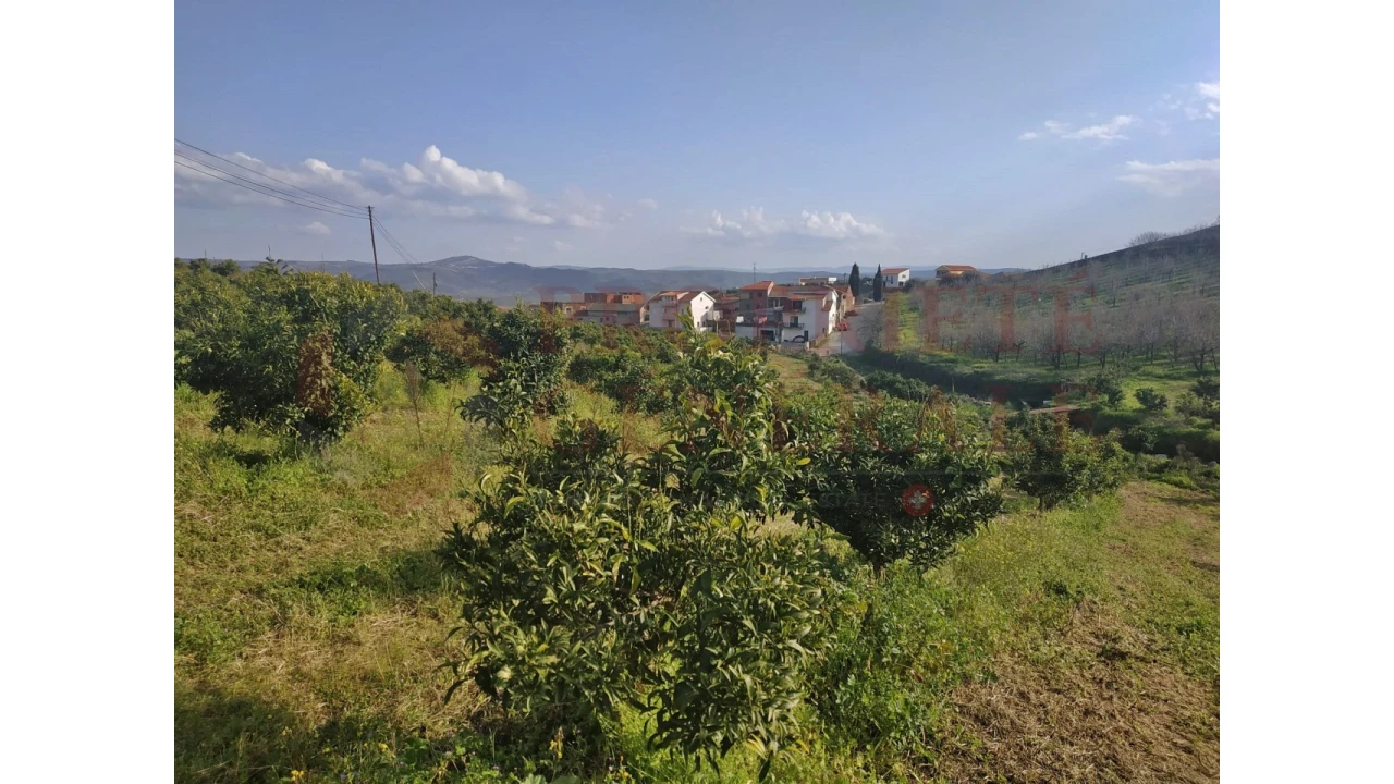 Quinta para Venda em Santa Comba de Vilariça Foto 38