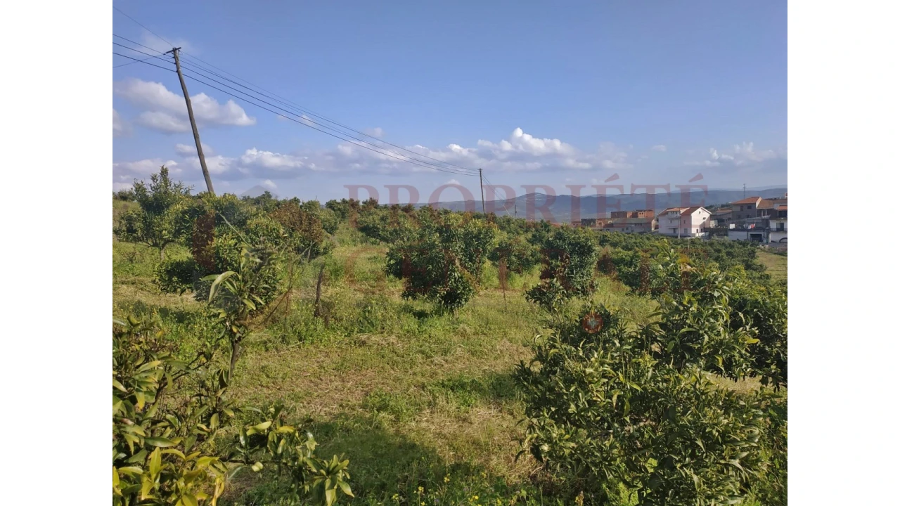 Quinta para Venda em Santa Comba de Vilariça Foto 39