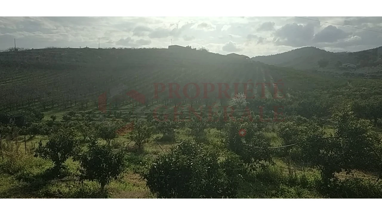 Quinta para Venda em Santa Comba de Vilariça Foto 43