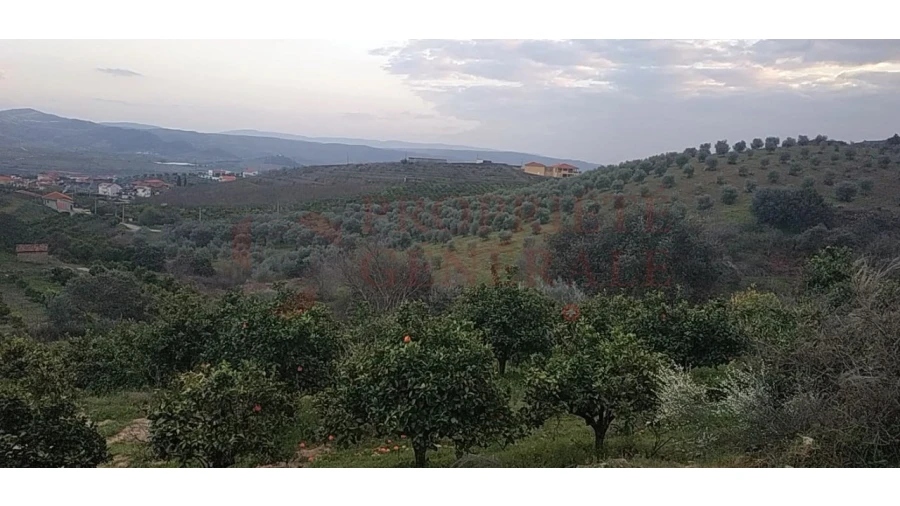 Quinta para Venda em Santa Comba de Vilariça Foto 3