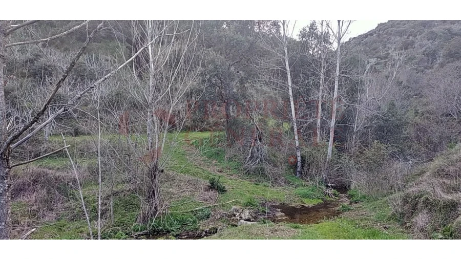 Quinta para Venda em Santa Comba de Vilariça Foto 8