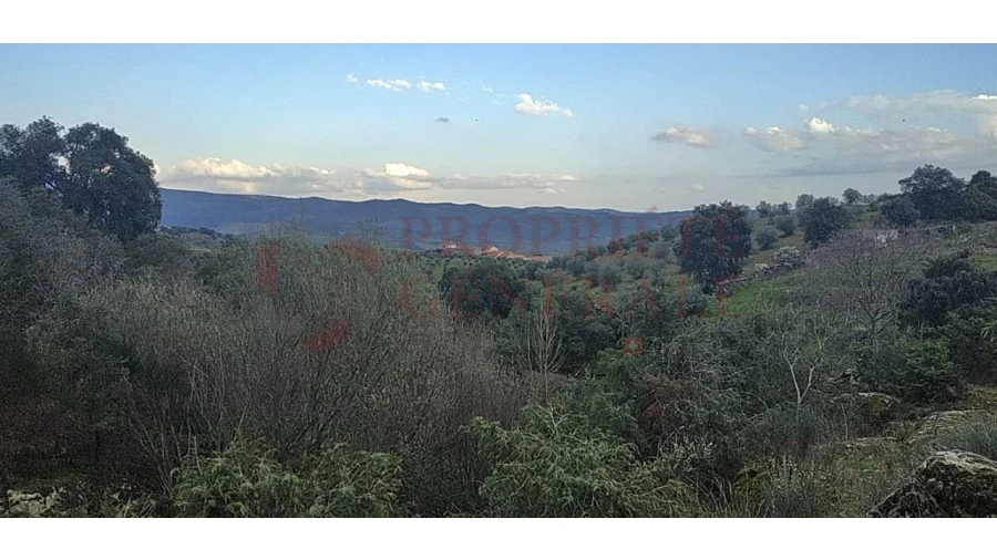 Quinta para Venda em Santa Comba de Vilariça Foto 9