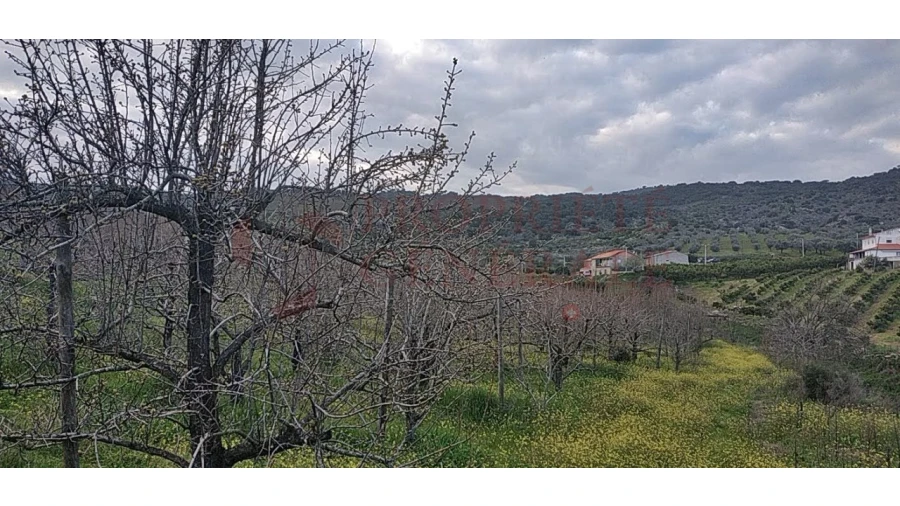 Quinta para Venda em Santa Comba de Vilariça Foto 14
