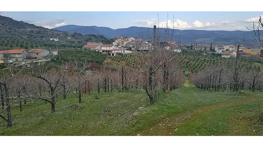 Quinta para Venda em Santa Comba de Vilariça Foto 15