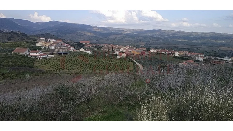 Quinta para Venda em Santa Comba de Vilariça Foto 16