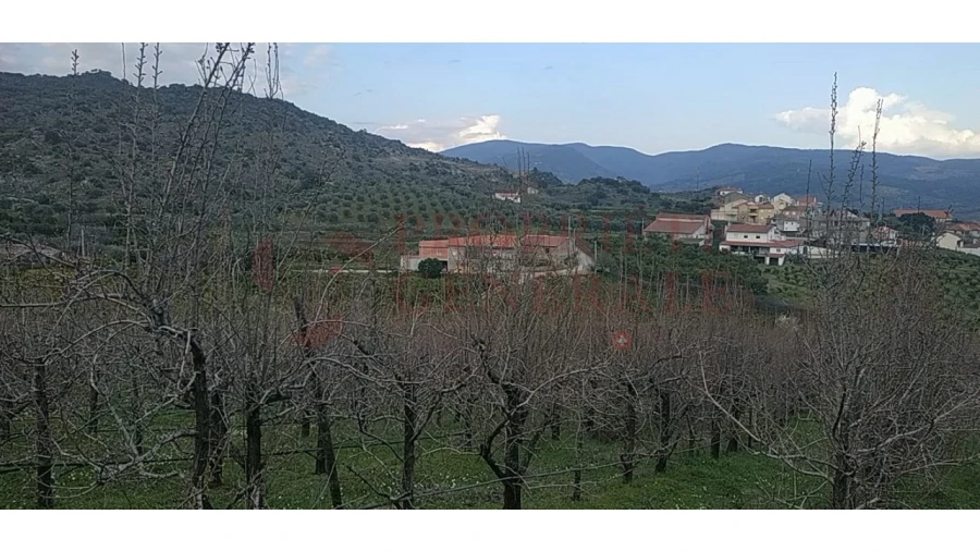 Quinta para Venda em Santa Comba de Vilariça Foto 17