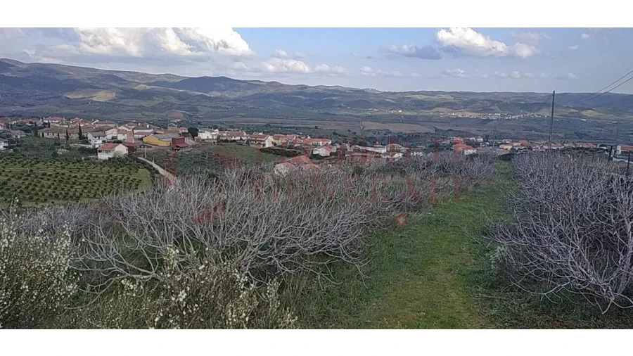 Quinta para Venda em Santa Comba de Vilariça Foto 20