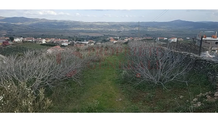 Quinta para Venda em Santa Comba de Vilariça Foto 21