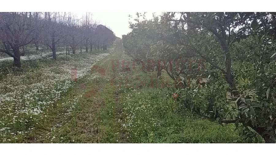 Quinta para Venda em Santa Comba de Vilariça Foto 23