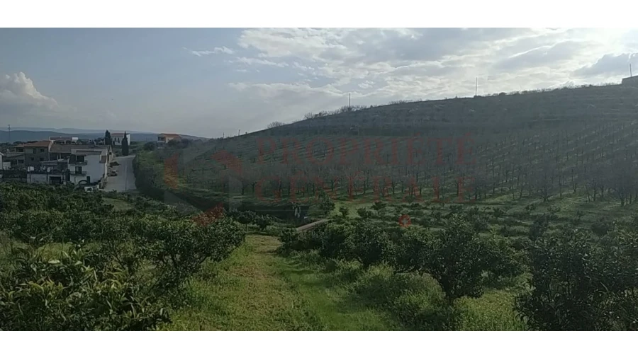 Quinta para Venda em Santa Comba de Vilariça Foto 1
