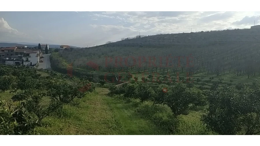 Quinta para Venda em Santa Comba de Vilariça Foto 28