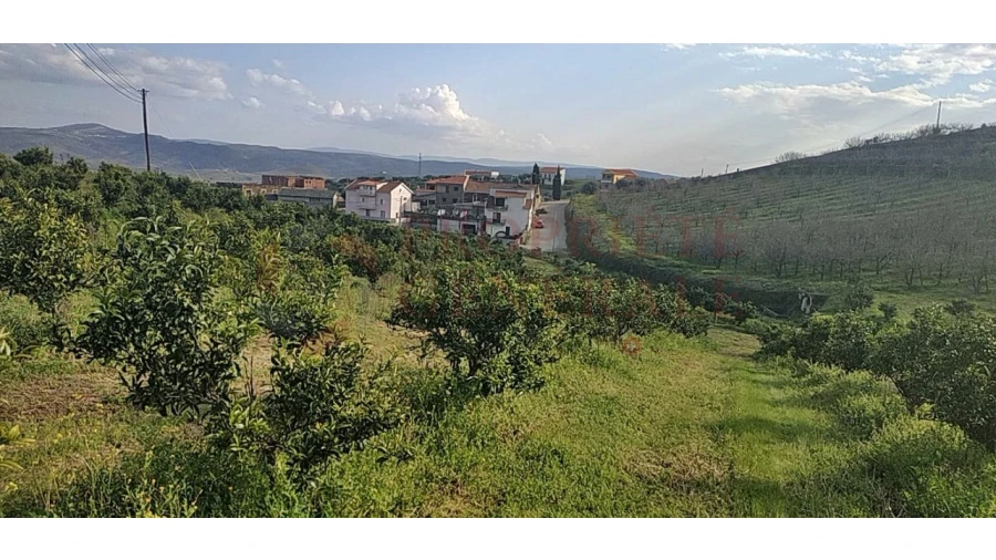 Quinta para Venda em Santa Comba de Vilariça Foto 30