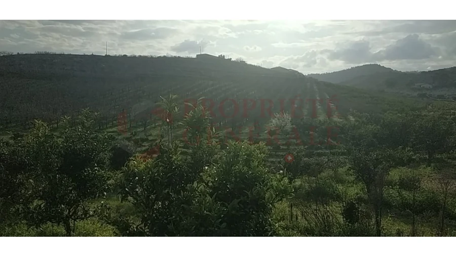 Quinta para Venda em Santa Comba de Vilariça Foto 31