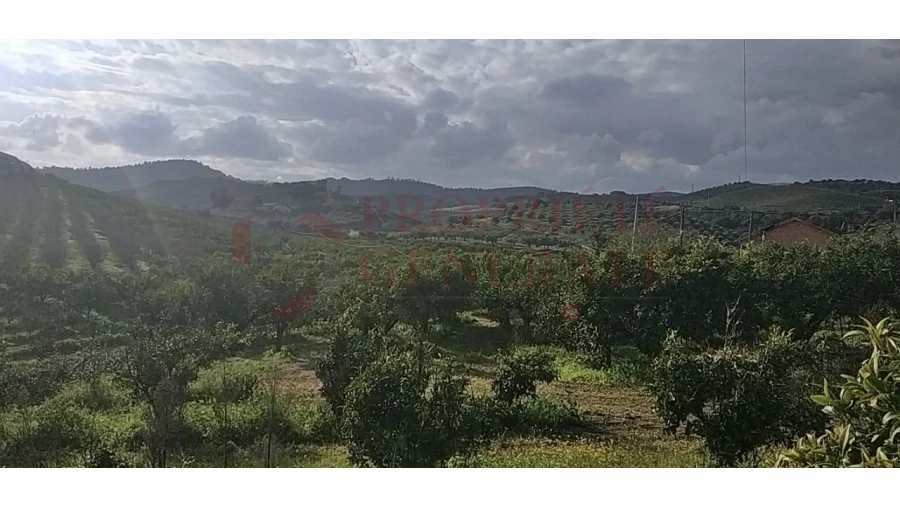 Quinta para Venda em Santa Comba de Vilariça Foto 32