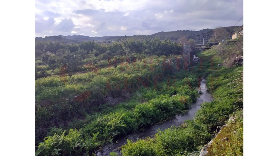 Quinta para Venda em Santa Comba de Vilariça Foto 34