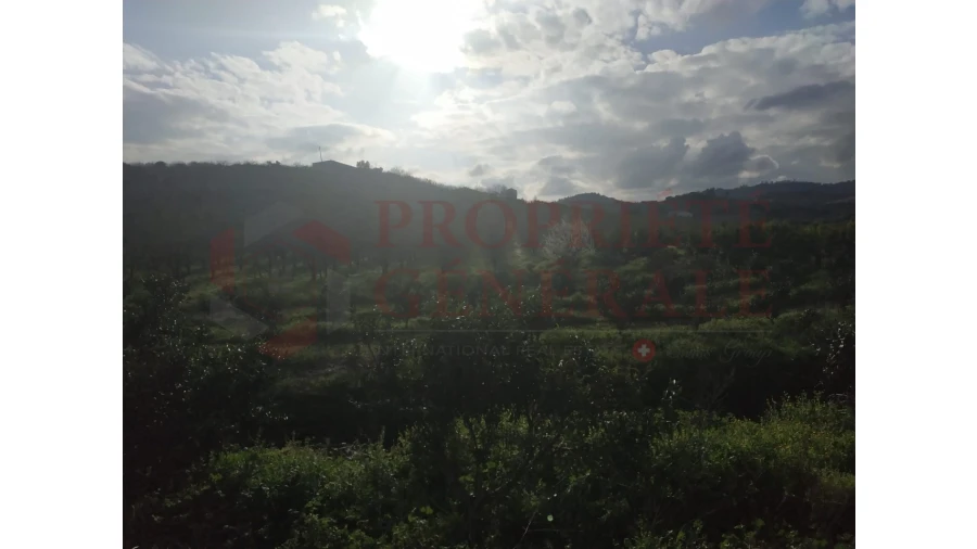 Quinta para Venda em Santa Comba de Vilariça Foto 35