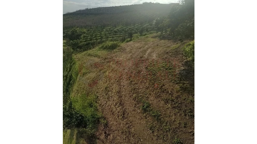 Quinta para Venda em Santa Comba de Vilariça Foto 40