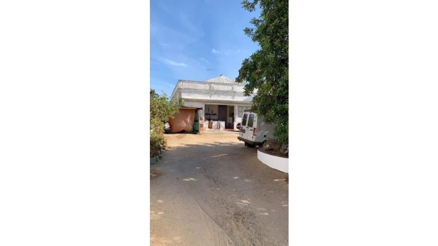 Quinta T7 para Venda em Almancil Foto 4