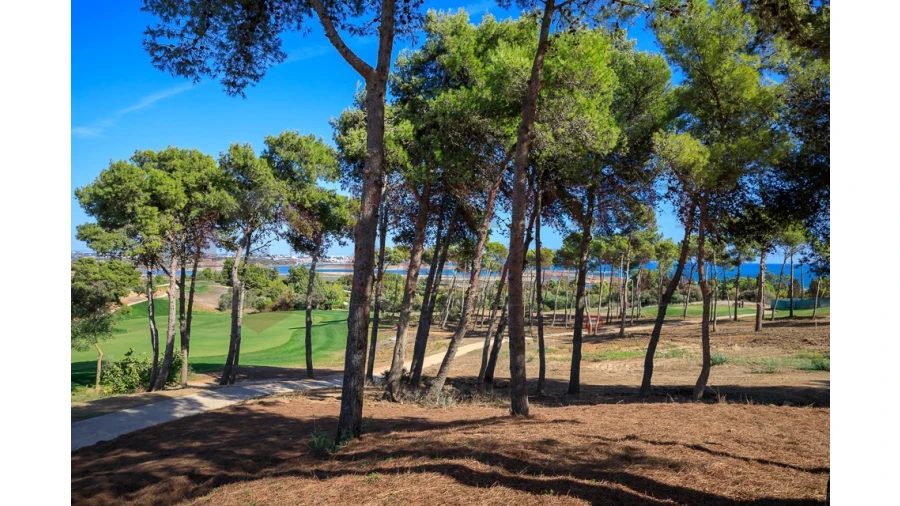 Apartamento T1 para Venda em Odiaxere Foto 13