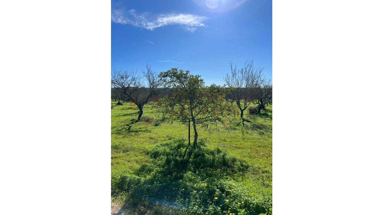 Quinta T2 para Venda em Albufeira e Olhos de Água Foto 4