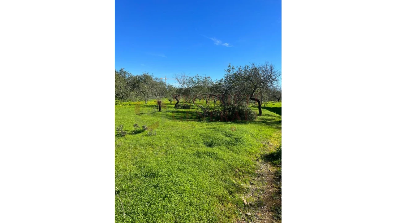 Quinta T2 para Venda em Albufeira e Olhos de Água Foto 5