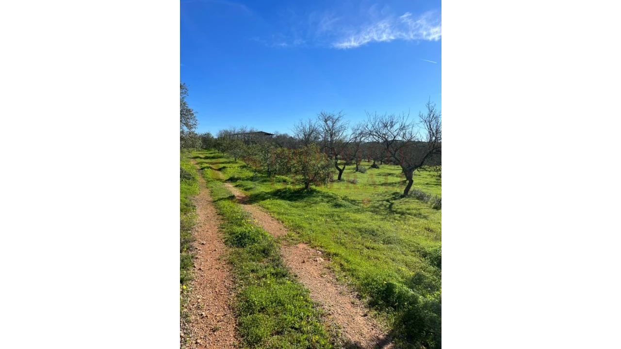 Quinta T2 para Venda em Albufeira e Olhos de Água Foto 6