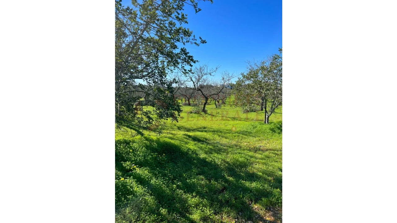 Quinta T2 para Venda em Albufeira e Olhos de Água Foto 7