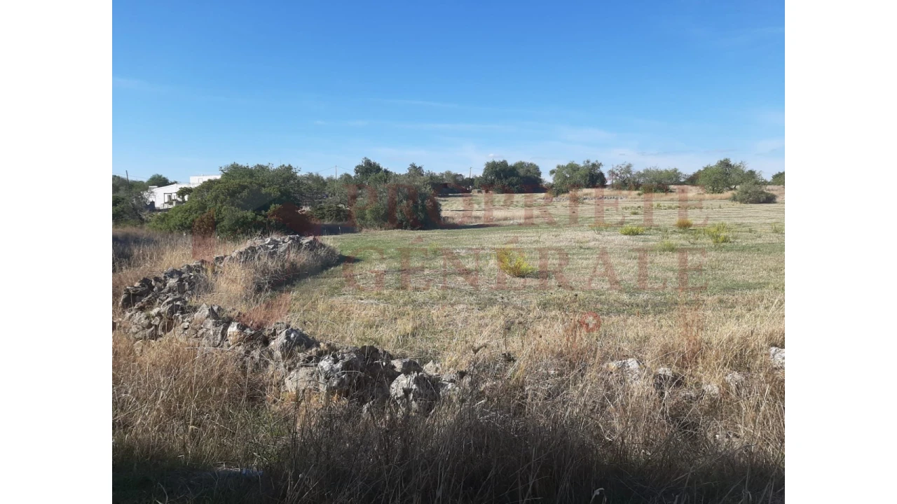 Terreno para Venda em Moncarapacho e Fuseta Foto 3