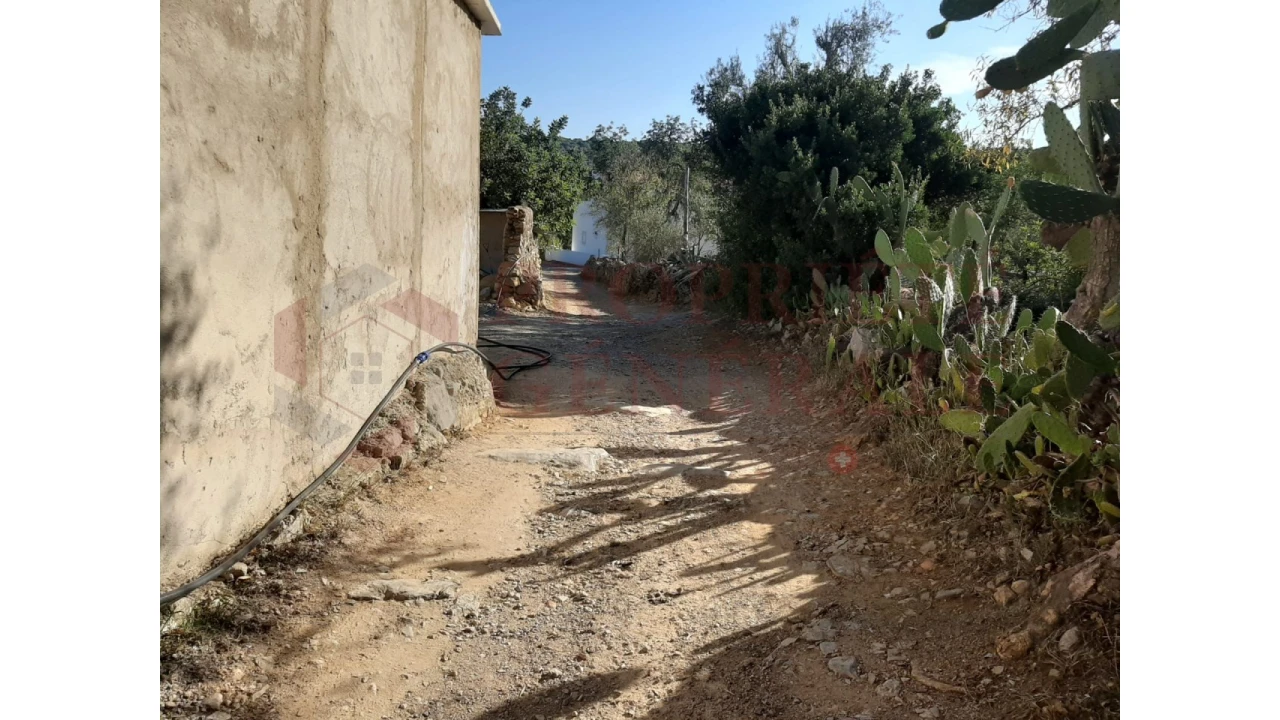 Terreno para Venda em Moncarapacho e Fuseta Foto 9