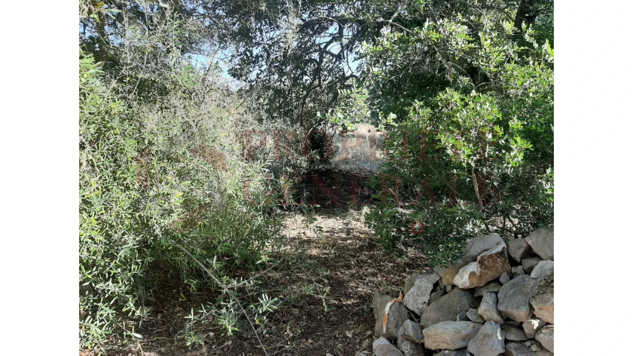 Terreno para Venda em Moncarapacho e Fuseta Foto 17