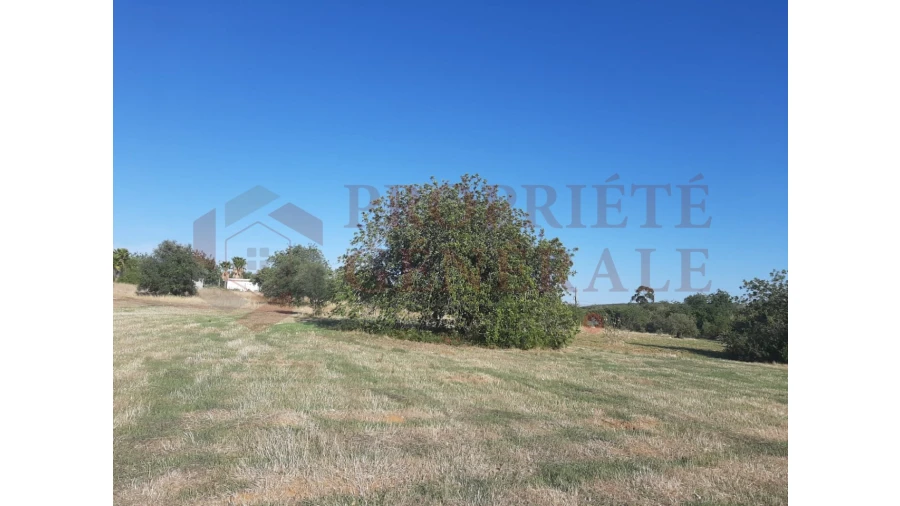 Terreno para Venda em Moncarapacho e Fuseta Foto 2