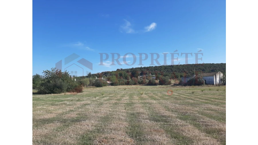 Terreno para Venda em Moncarapacho e Fuseta Foto 1