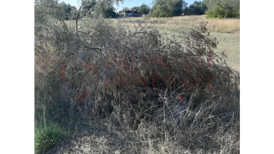 Terreno para Venda em Moncarapacho e Fuseta Foto 5