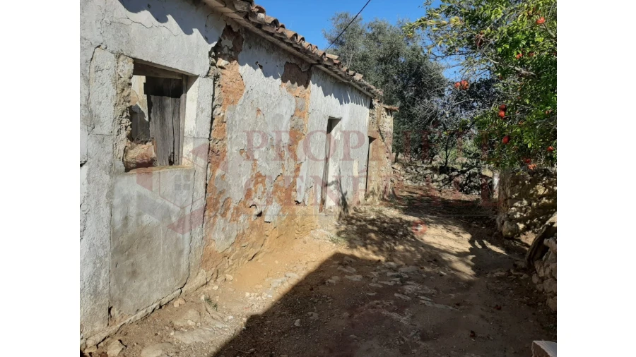 Terreno para Venda em Moncarapacho e Fuseta Foto 6