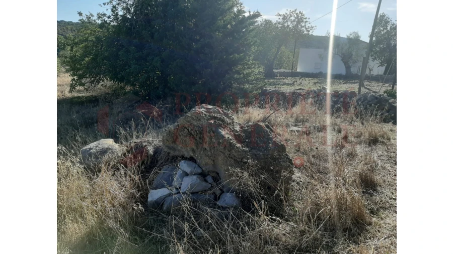 Terreno para Venda em Moncarapacho e Fuseta Foto 7