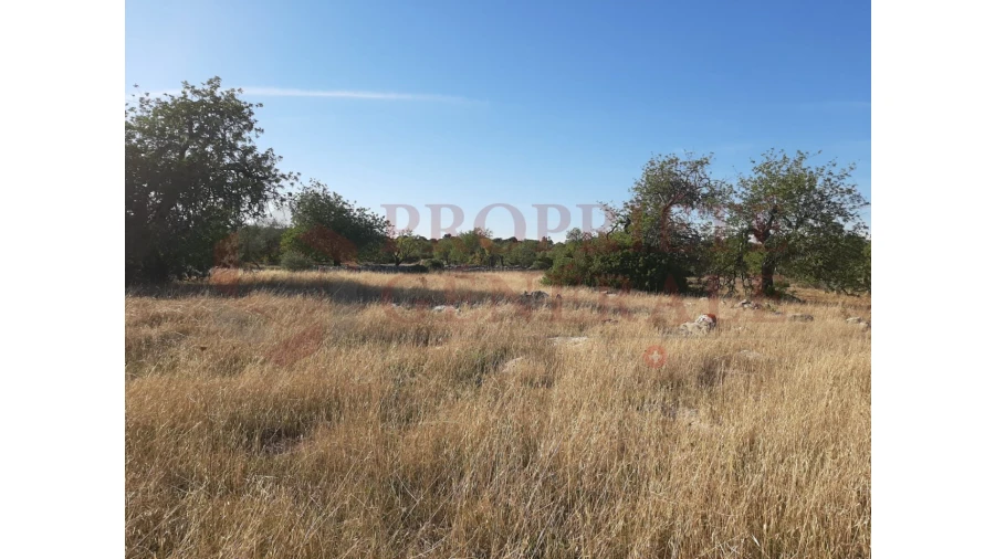 Terreno para Venda em Moncarapacho e Fuseta Foto 8