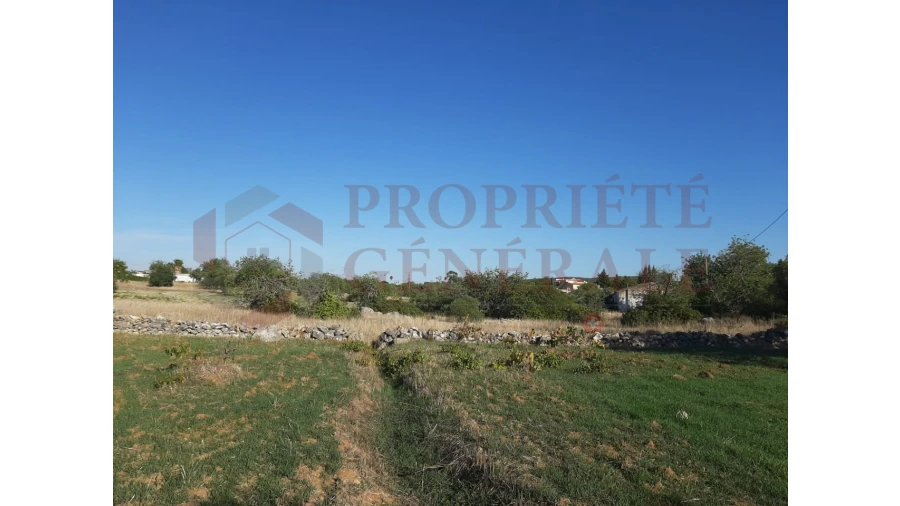 Terreno para Venda em Moncarapacho e Fuseta Foto 14