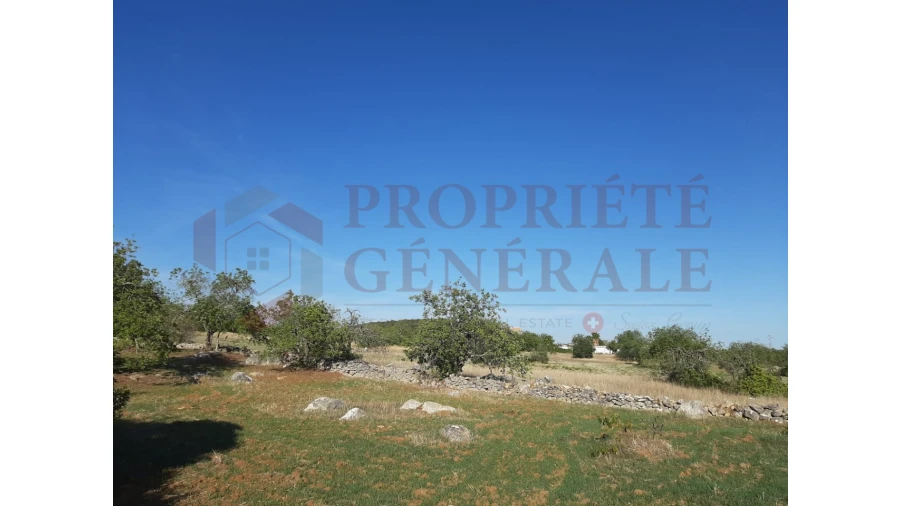 Terreno para Venda em Moncarapacho e Fuseta Foto 15