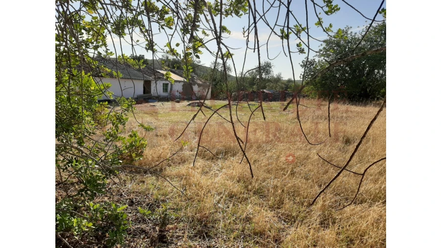 Terreno para Venda em Moncarapacho e Fuseta Foto 16