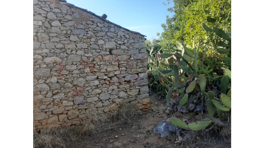 Terreno para Venda em Moncarapacho e Fuseta Foto 19